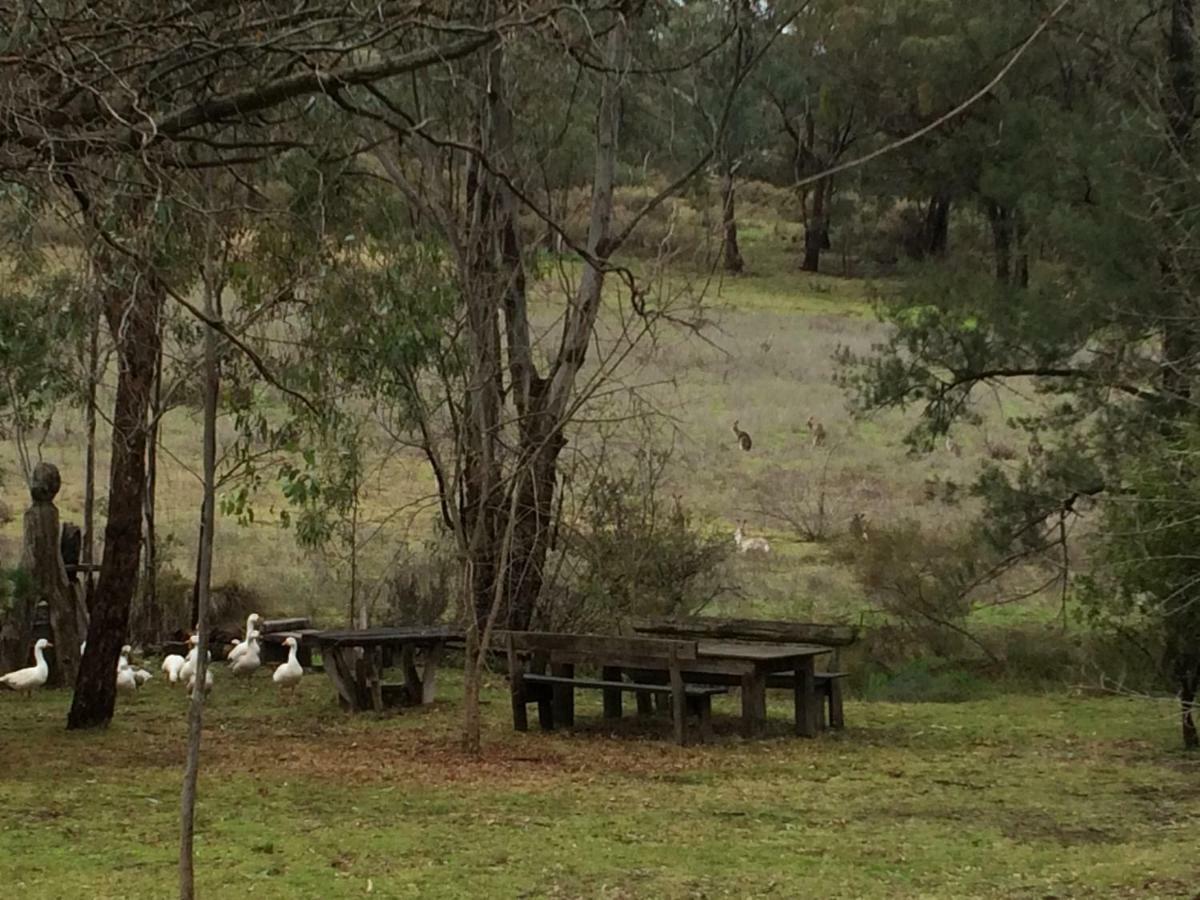 Wildwood Guesthouse Mudgee Exterior photo