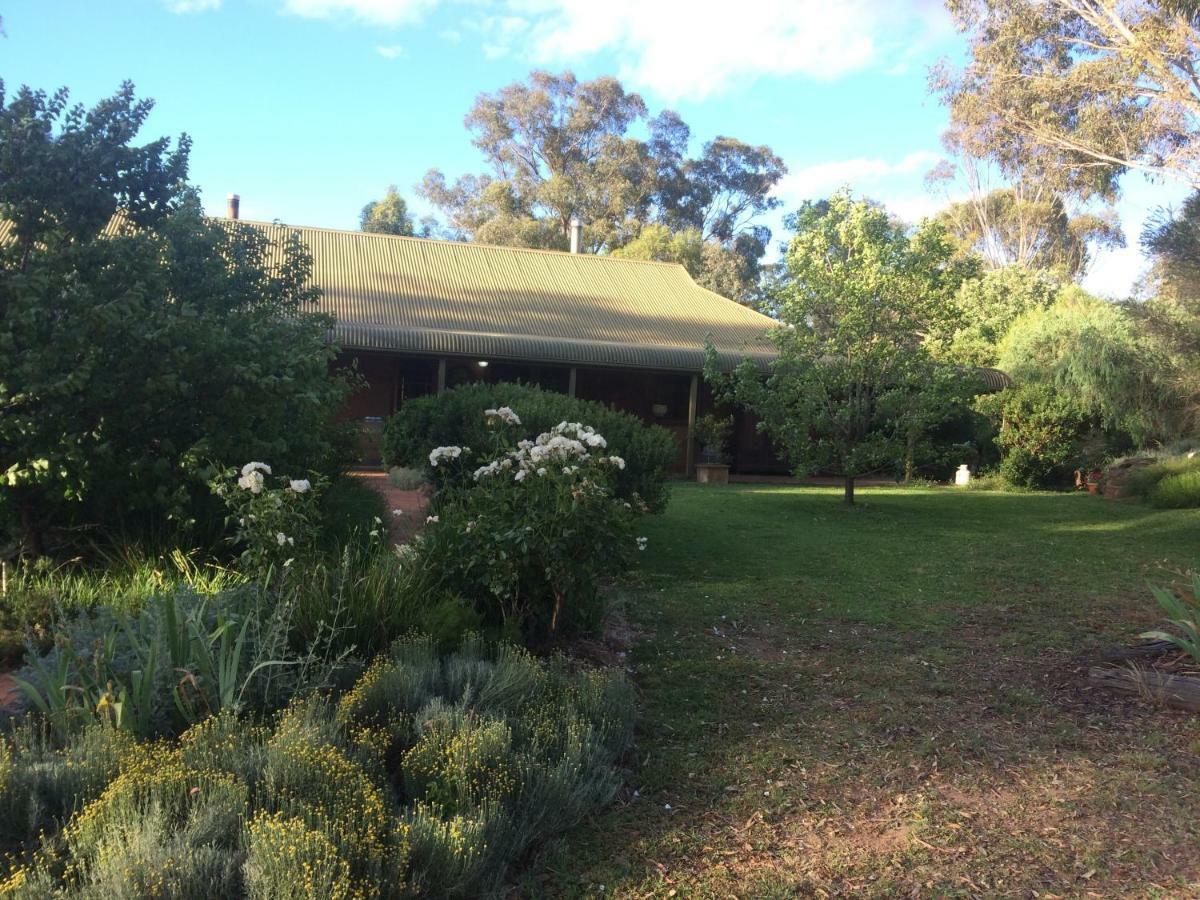 Wildwood Guesthouse Mudgee Exterior photo
