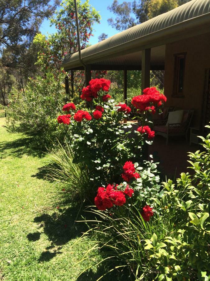 Wildwood Guesthouse Mudgee Exterior photo